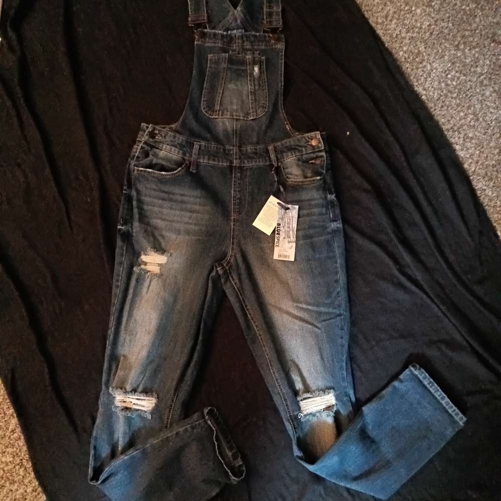 Blue Spice Dark Wash Denim Overalls